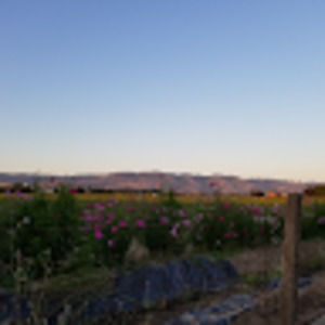 Meet your Posher, Eren